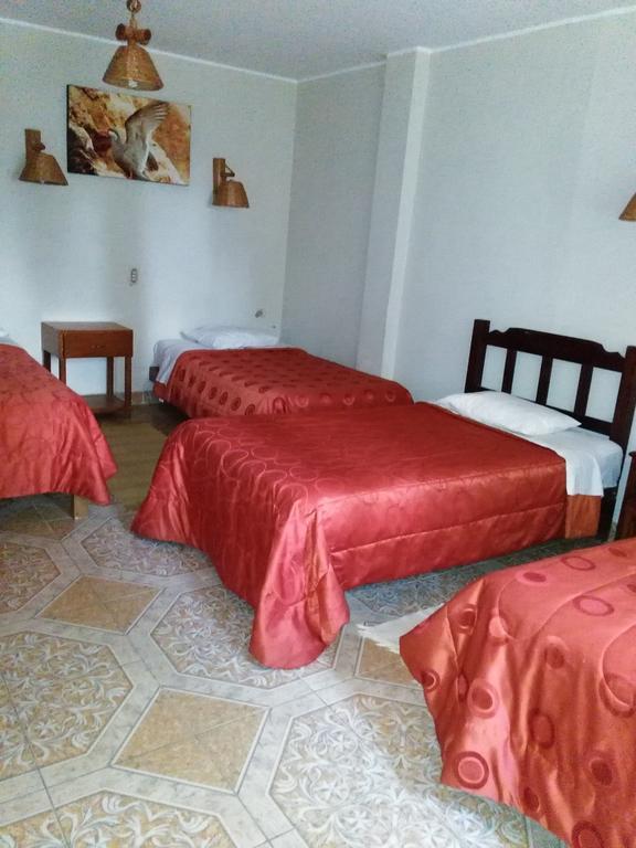Refugio Del Pirata Hostel Paracas Phòng bức ảnh